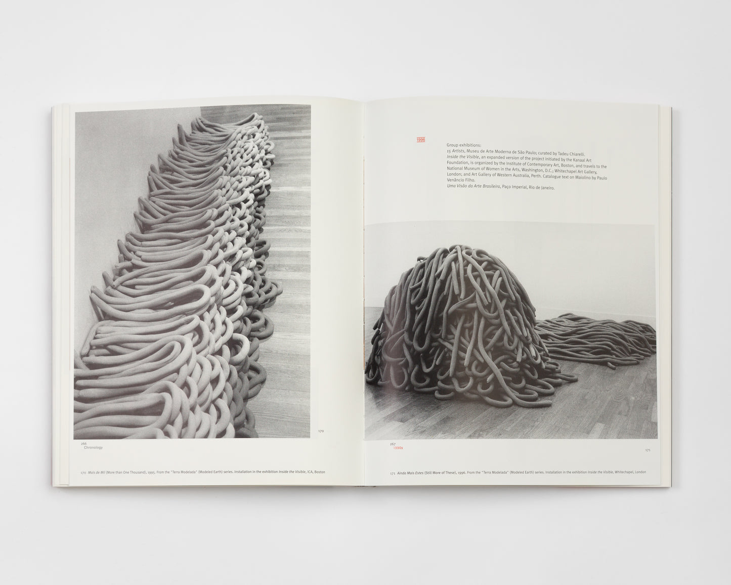 Anna Maria Maiolino: Vida Afora / A Life Line