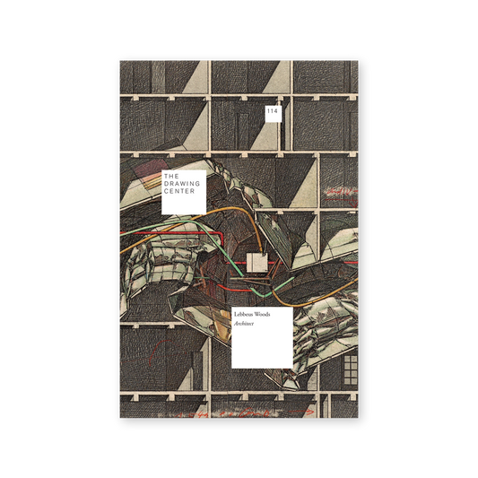 Front cover of "Lebbeus Woods, Architect"