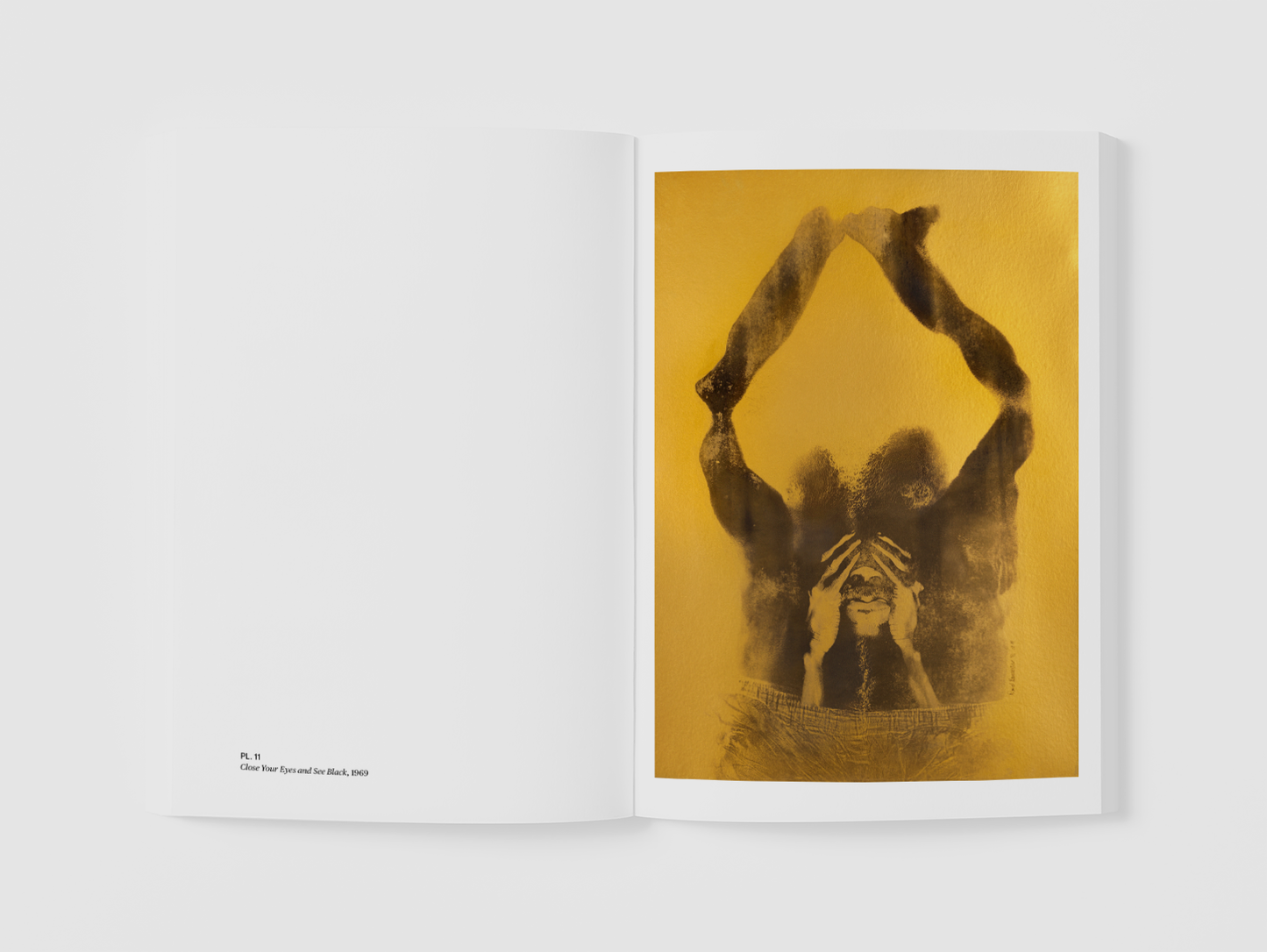A sample page from "David Hammons, Body Prints" featuring a plate and accompanying text about the artwork.
