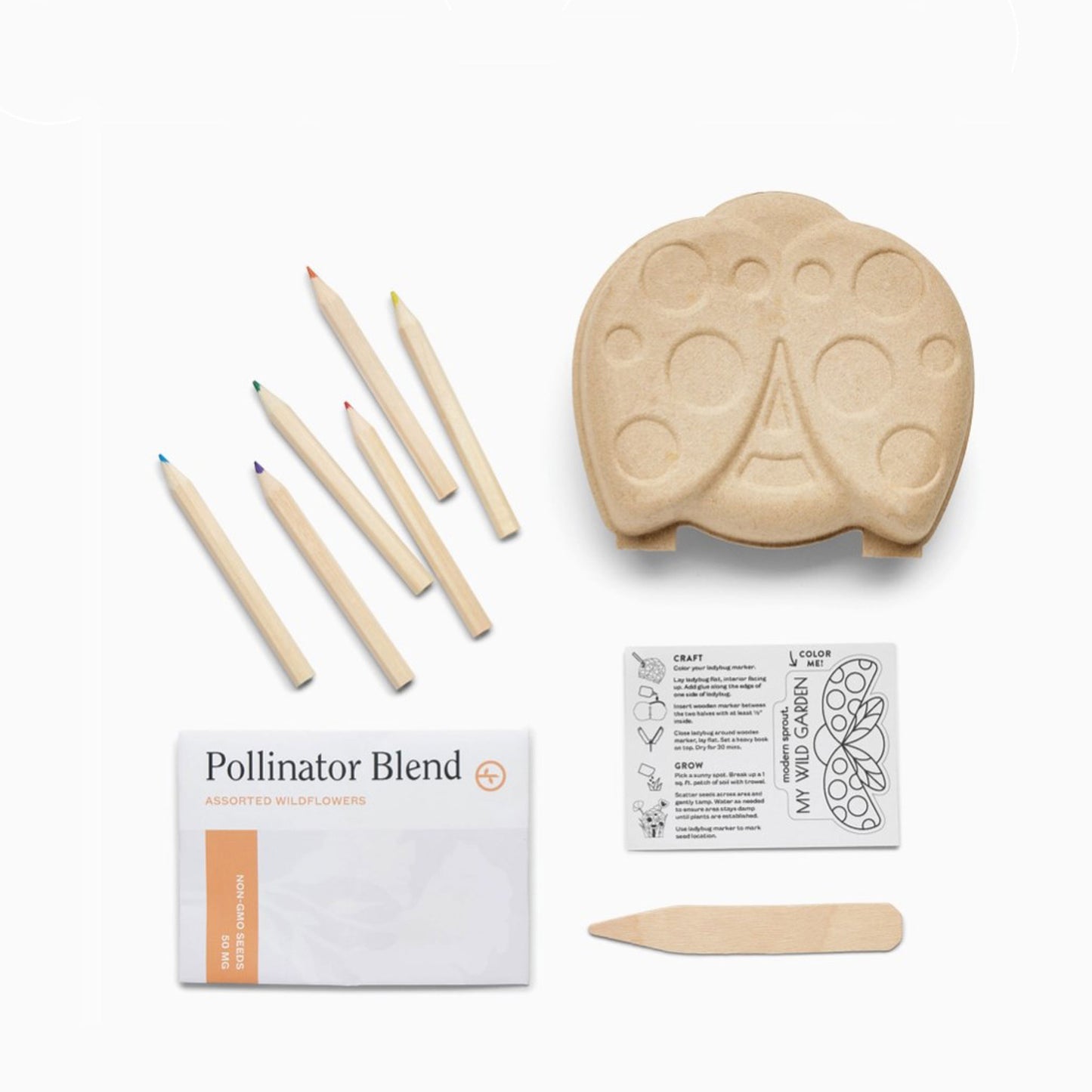 Curious Critters Activity Kit