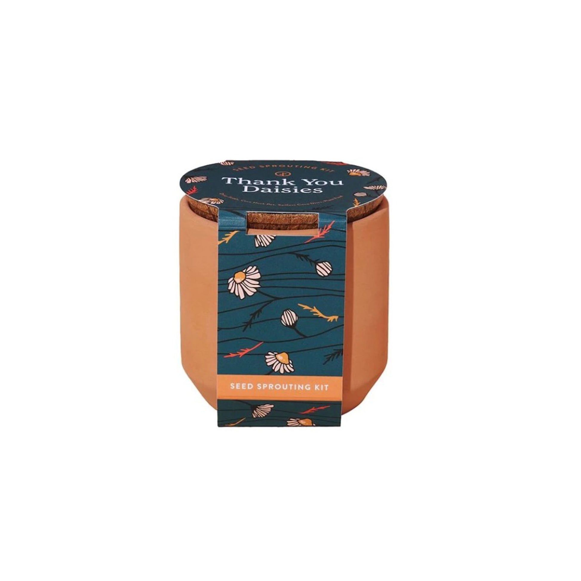 Small teracotta pot with printed belly band.