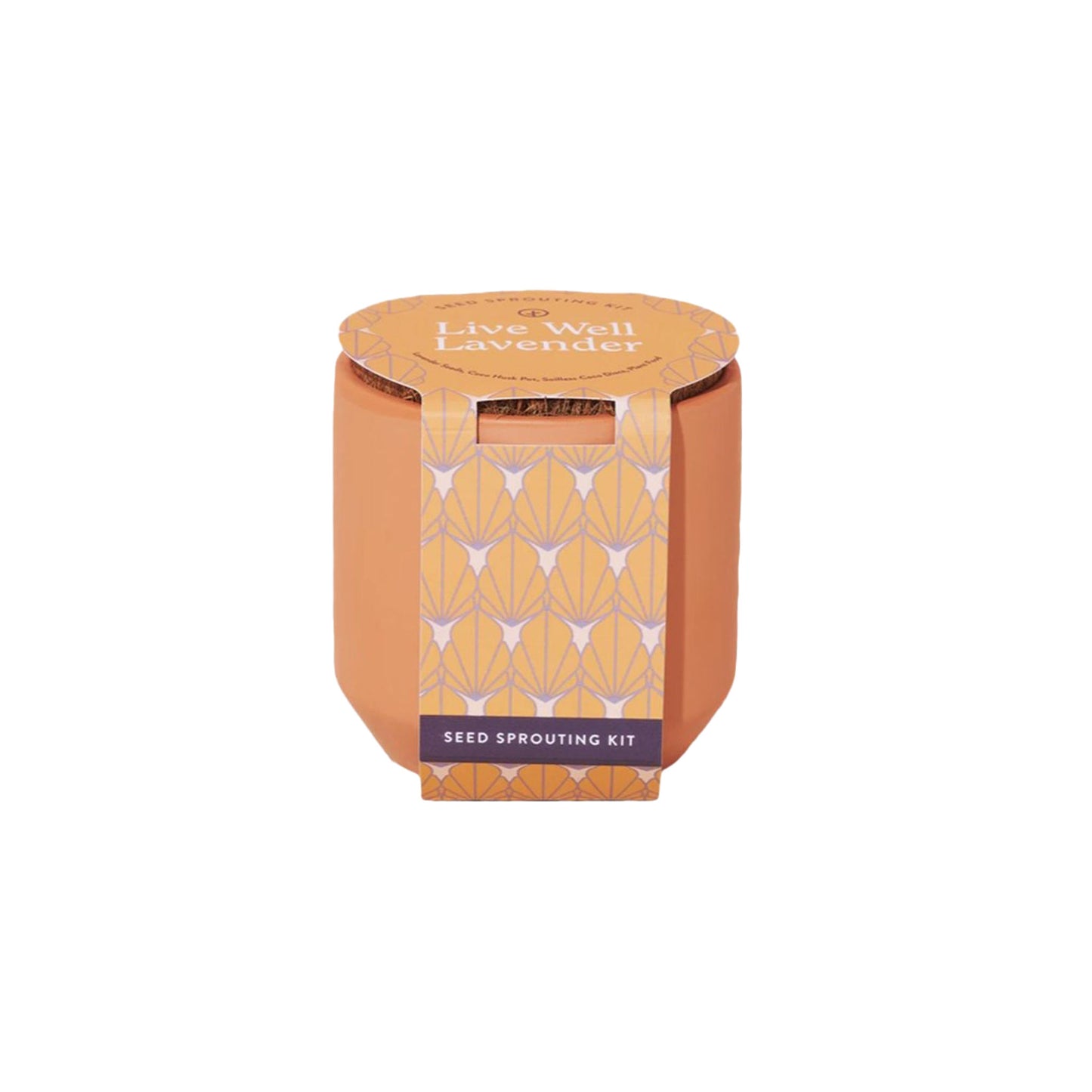 Small teracotta pot with printed belly band.