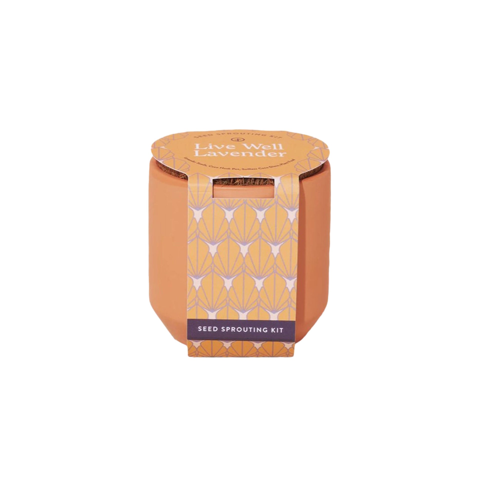 Small teracotta pot with printed belly band.