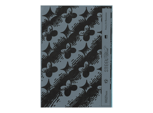 Steel Wool - Poetry and Illustration  1st Edition