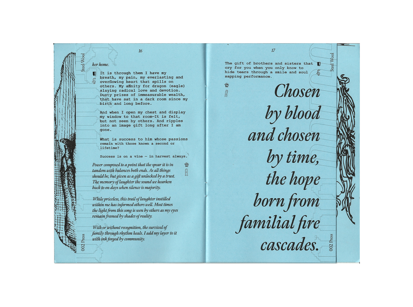 Steel Wool - Poetry and Illustration  1st Edition