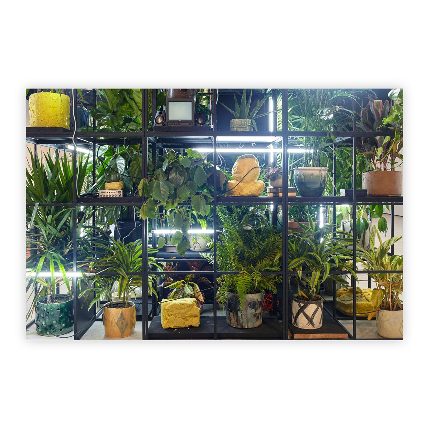 Photographic print of "Antoine's Organ (detail)" by Rashid Johnson. A grid of metal bars make a series of shelves that house a lush variety of houseplants. Sitting among the plants are a radio, a television with speakers, and an arrangement of white flourescent lights.